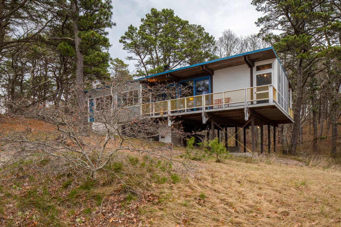 Modernist house elevated on metal stilts surrounded by bare trees in a sandy woodland clearing.